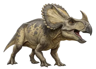 Imagen PNG para descargar